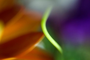 Uber Exif Photo