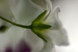 Uber Exif Photo