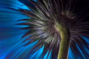 Uber Exif Photo