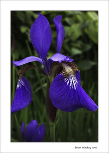 Uber Exif Photo